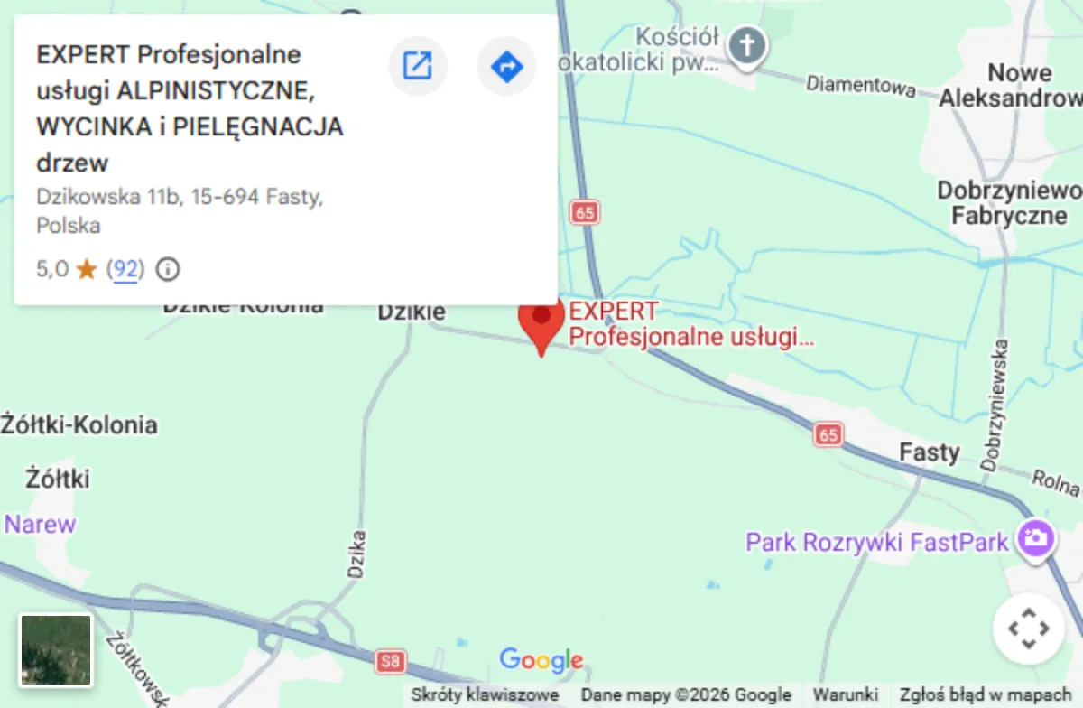 Mapa dojazdu – EXPERT, ul. Dzikowska 11B, 15-694 Fasty
